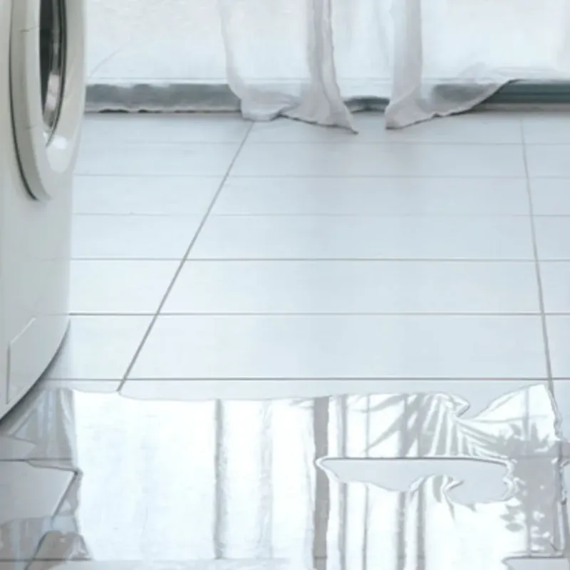 Appliance Leak Cleanup in Mesquite, NV