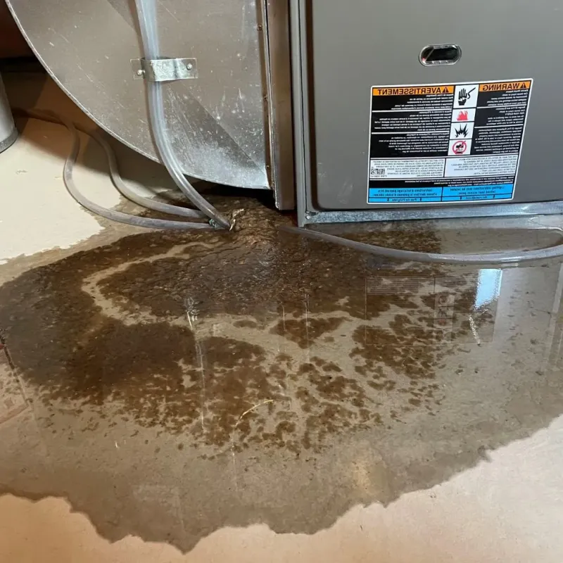 Pipe Burst and Leak Restoration in Mesquite, NV