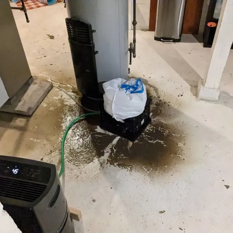 Sewage Backup Cleanup Service in Mesquite, NV